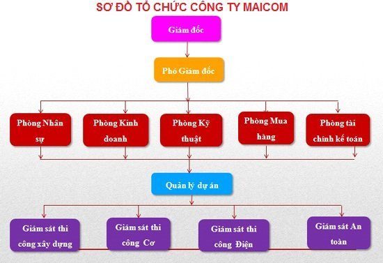 NĂNG LỰC NHÂN SỰ